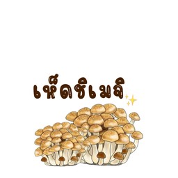 เห็ดชิเมจิ