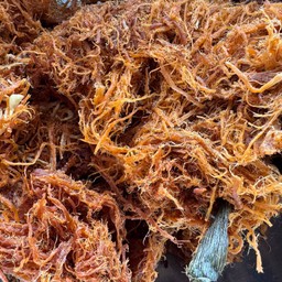 เนื้อฝอย