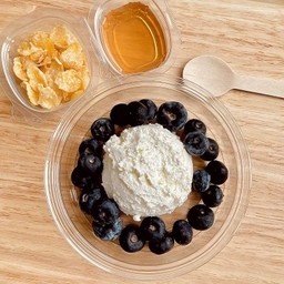 Greek Yogurt x Blueberry