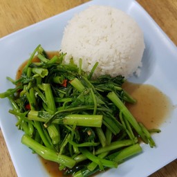 ผัดผักบุ้งราดข้าว