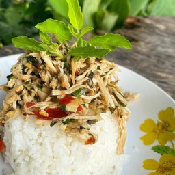 ข้าวกระเพราไก่ฉีก แยกข้าว แยกกับให้