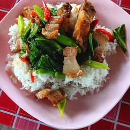 ผัดคะน้าราดข้าว