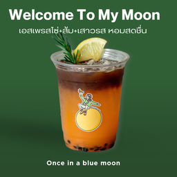 Welcome to my moon