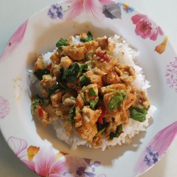 หมูชิ้นผัดกะเพรานมสดราดข้าว