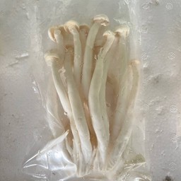 เห็นขอนขาว