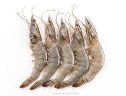 เพิ่มกุ้งสด 5 ตัว