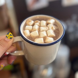 โกโก้นมสด