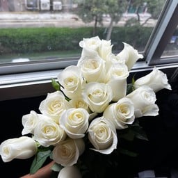 กุหลาบขาว 3 ดอก