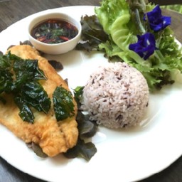ข้าวปลากะพงทอด ซอสกะเพรา