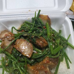 ยอดฟักแม้ว หมูชิ้น/หมูสับ