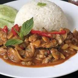 เนื้อหอยลายผัดพริกเผา ราดข้าว