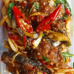 กะเพราปลาดุกราดข้าว