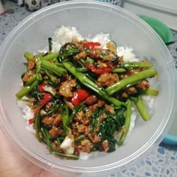 กะเพราหน้าบ้าน
