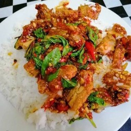 กระเพราไก่ราดข้าว