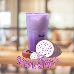 นมเผือก