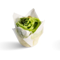 เค้กสังขยาใบเตย Sangkhaya Cake