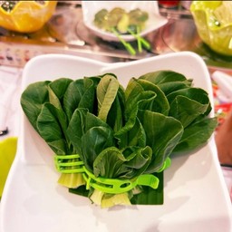 เย่ กง ฝู่ หม่าล่าสายพาน