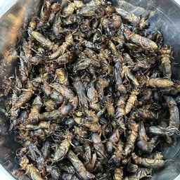 เค้กจงฟิน หมูปิ้ง แมลงทอด สลัดโรล