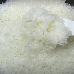 ข้าวญี่ปุ่น