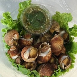 หอยหมาก(หอยหวาน)ลวกจิ้ม