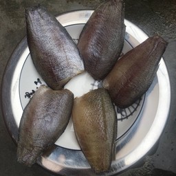 ปลาสลิดแดดเดียว