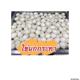 ไข่นกกระทา ขีดละ27บาท