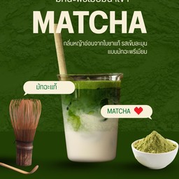 มัทฉะพรีเมียม