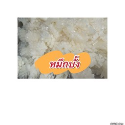 หมึกบั้ง ขีดละ27บาท