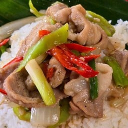 ผัดพริกอ่อน