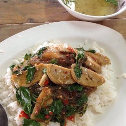 กระเพราหมูยอ