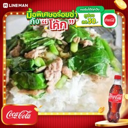 [อร่อยซ่ากับโค้ก] ข้าวราดคะน้าหมูสดน้ำมันหอย+โค้กขวด