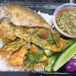 ข้าวปลาทู+ ไข่ชะอมทอด+ ไข่มะเขือยาวทอดน้ำพริกกะปิ
