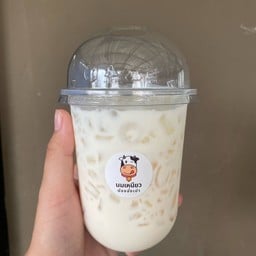 นมเหนียวน้องอั่งเปา นมเหนียวน้องอั่งเปา