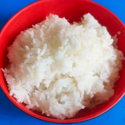 ข้าวเปล่า