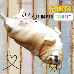 พี่ๆคะ หนูชื่อแคนดี้ค่ะ