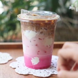 VANILLA SKY ( COCOA)