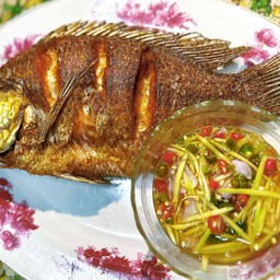 ปลานิลทอดน้ำปลา size XL พร้อมน้ำยำมะม่วง