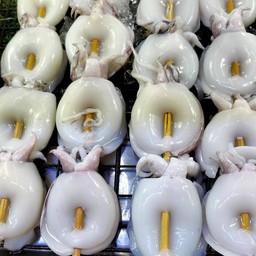 หมึกกระดองไม้ใหญ่