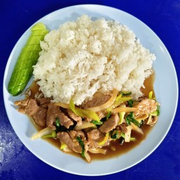 ผัดพริกอ่อน