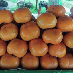 ลูกพลับเกาหลีกิโลล่ะ