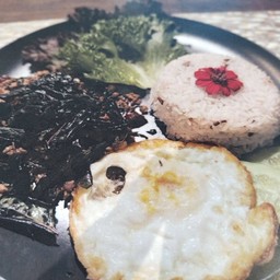 ผัดกระเพราโจรหมู/ไก่