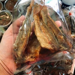 ปลาจวด