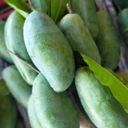 มะม่วงเขียวเสวย 1 กิโลกรัม