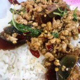 ผัดกระเพราไข่เยี่ยวม้าหมูสับราดข้าว