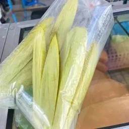 ผลไม้ตามฤดูกาล