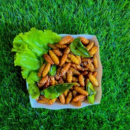 ดักแด้  ทอด !!!!!