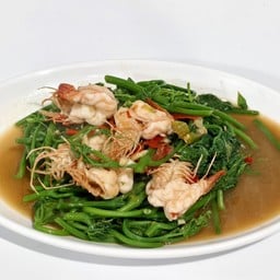 ยอดมะระไฟแดง