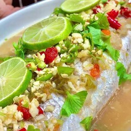 ปลากะพงนั่งมะนาว(ครึ่งตัว)