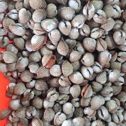 พอใจยำ By สุขสันต์6