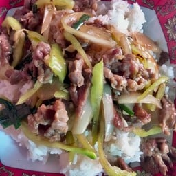 ข้าว+เนื้อผัดพริกหยวก